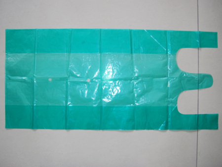 彩色蔬(shū)菜手提(tí)袋